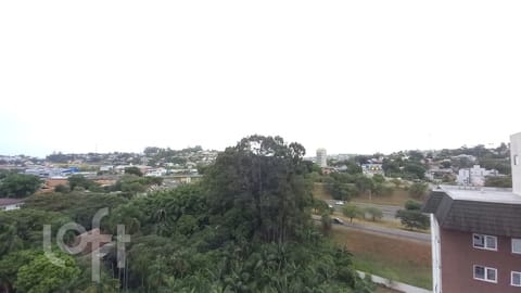 Image 15 - 250163